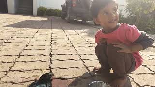 Small Girls helping Injured Crow to fly