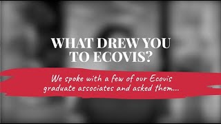 Ecovis Career Spotlight - What drew you to Ecovis?