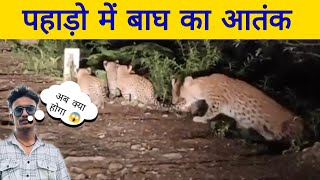 पहाड़ो में बाघ का आतंक 😱 || आज हमने बनाई पहाड़ी मिठाई || #pahadilifestylevlog #uttarakhand #pahadi