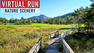 Fantastic Nature Scenery! Don't Miss Out | Virtual Run