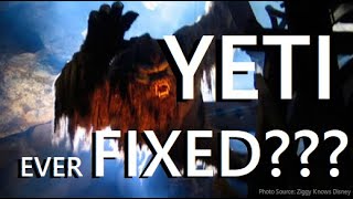 Will the Yeti of Expedition Everest - Animal Kingdom - ever be fixed!!!???