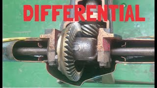 Differential: Parts and operation