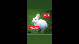 ТАРАЗЫ—2023 ЖЫЛҒА ЖҰЛДЫЗ—ЖОРАМАЛ.