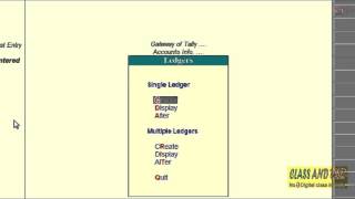 Tally 5 Creates Ledger under capital Accounts
