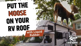 Liquid Rubber - Put the Moose on your RV Roof | Protect and restore your RV Roof and stop Leaks