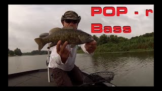 Catching bass with top water baits (Pop'r)