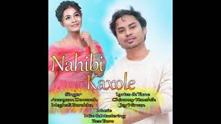 NAHIBI KAHOLE | CHINMOY+JOY | Aranyam+Meghali| new Assamese song @doleyentertainment701@CJMStudio