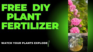 DIY Homemade Plant Fertilizer (Free & Easy -Green Tea)