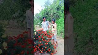 5 rs feviquick _#cp  pathar _#desi comedy 🤣😂 viral short_#funny  video