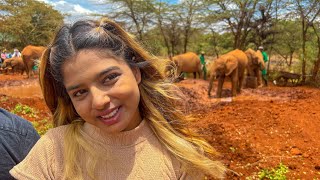 David Sheldrick Elephant Orphanage Nairobi