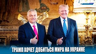 Орбан встретился с Трампом