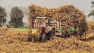 Akele Tractor ne Kamal Kar Diya Single Belarus Big Stunt  Very Brave Driver Sugarcane Trolley