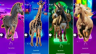 🦖 Funny Zebra vs Funny Giraffe vs Funny Donkey vs Funny Horse | Coffin Dance 🪩