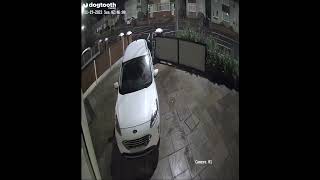 Woman uses WHEELY BIN as Getaway Vehicle to Steal Garden Plants || Dogtooth Media