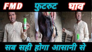 फुट रुट FMD घाव Bakari Me Kide Pd Jana |Sabka Elaj Ek Sath |Vimalumrao