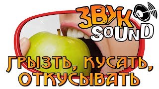 Кусать ЗВУК, Грызть, откусывать / Biting SOUND, Gnaw, bite