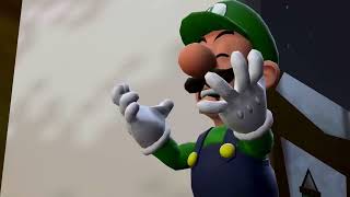 Luigi: "YOU KILLED MY BROTHER, YOU SONS OF A B*TCHES!!"