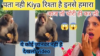 पता नही कोन है ये हमारे||इंसान से भी गहरा रिश्ता 😢🙏#vrindavan #vlog