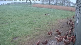 vossenburgrhoon.nl | live webcam.