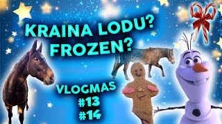 NAJLEPSZA STAJNIA VLOGMAS #13 #14