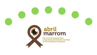 Campanha Abril Marrom