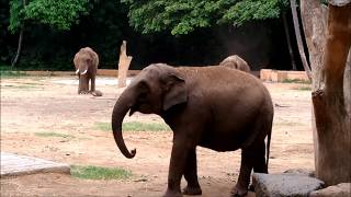 Mysore zoo Part 1