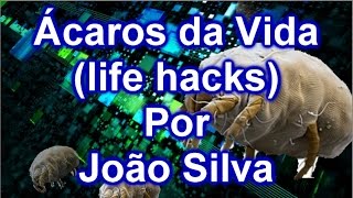 Ácaros da Vida: Life Hacks por João Silva