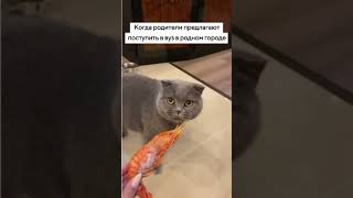 #география #егэ