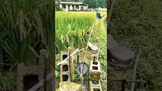 jurus jitu usir burung-auto santai 🤣🤣🤣 #viral #fyp #2022 #video