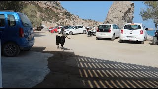 Rhodos 2021 - Tsambika Beach: Drohnenaufnamen und Ziegen