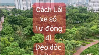 Cách Sử Dụng Số Tay Trên Hộp Số Tự Động Đúng Cách #suachuaoto #laixe #oto