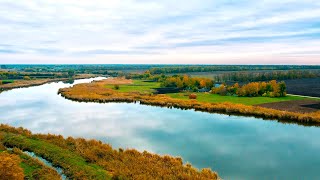 Темповая Ловля Карпа. Как подобрать ключ в холодной воде ? "Кубок Догмы". Водоем Братковский!