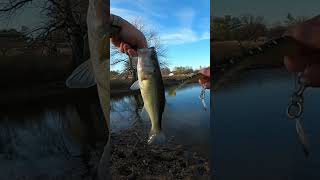 Winter Bassfishing on the underspin #fishing #shorts #explore #subscribe #outdoors #bassfishing