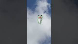 FROG KITE