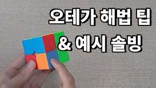 오테가 해법 팁 & 예시 솔빙