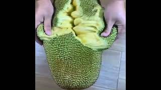 🍈Jackfruit is the largest fruit on earth, it tastes like a combination of pineapple and banana.