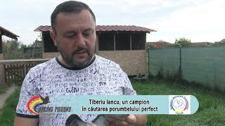 Tiberiu Iancu, un campion în căutarea porumbelului perfect