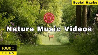 Forest 🌳  Nature Relaxation Film | Relaxing Music | Nature Sounds of Jungle, Rainforest