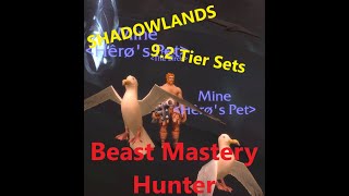 Shadowlands 9.2 BM Hunter Tier Sets