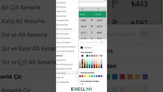 Excel'de Farklı Renkte Kenarlık Atamanın Kolay Yolu | EXCEL 751