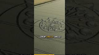 crop circle hoaxes  the mystery of art