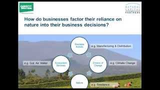 Webinar: What does natural capital mean for business? 18/11/15