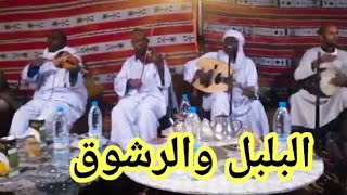 ناجم بلبل توات ادرار| استمتع بالحبيب اللي غدر بيا ومشى لبلادوا