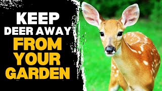 How to Keep Deer Out Of Your Garden Without Harming Them