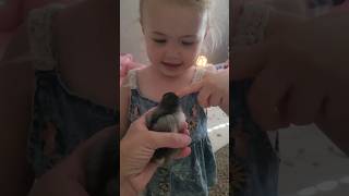 "Come in Momma" Cute Conversation with My Little Girl About a Baby Chick😍