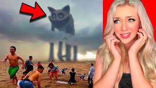 CATNAP POPPY PLAYTIME SPOTTED IN REAL LIFE!? (*scary*)