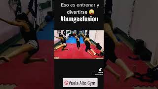 Entrenamiento con arnés #entrenamientoensuspension #bungeefusion