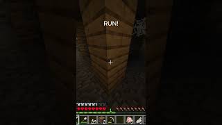 Run #fy #minecraft #fyp