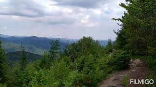 Dwernik Kamień Bieszczady- co widać ze szczytu.