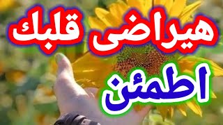 بشارة خير لك ❤ 🌿 ربك عالم بحالك هيرضيك ويراضى قلبك ابشر#رضوى_ايمانيه